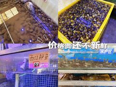 -八仔大富楼·河鲜(西江店)