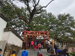 -新安江山水画廊风景区
