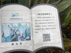 -白塔湖国家湿地公园