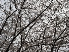 -浙江大学(玉泉校区)