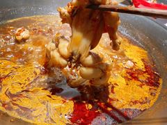 -老天桥蛙炉火锅(姑苏总店)