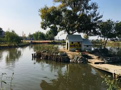-鹅湖玫瑰文化园