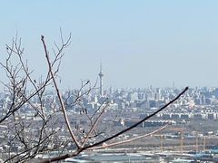 -北京西山国家森林公园