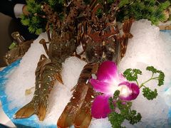 -德天雪花肥牛海鲜火锅(南苑东路店)