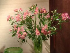 -漾亚·雍雅合鲜(桐梓林店)