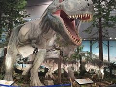 -湖南省地质博物馆