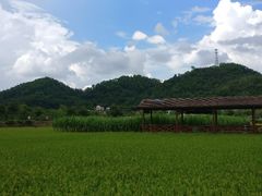 -红山村