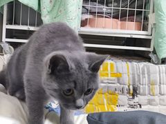 -宠颐生汉谟拉比宠物医院