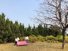 -南沙蒲洲花园