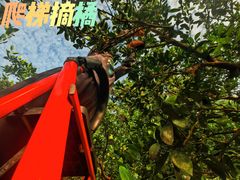 -南北湖风景区