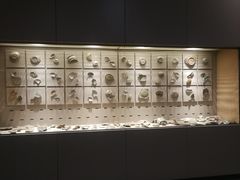 -龙泉青瓷博物馆