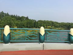 -上海长兴岛郊野公园