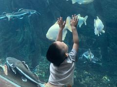 -哈尔滨波塞冬海底世界