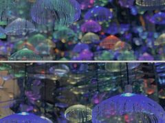 -天津梵高星空艺术馆(天河城旗舰店)