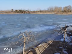 -东郊湿地公园