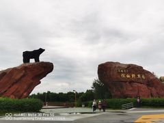 -黑瞎子岛探秘野熊园