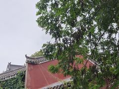 -武汉长春观