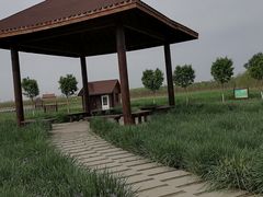 -西青郊野公园