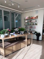 -dōTERRA多特瑞精油生活馆