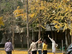 -四川大学(江安校区)