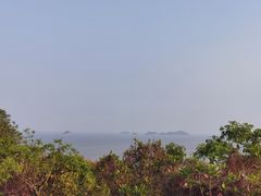 -野狸岛