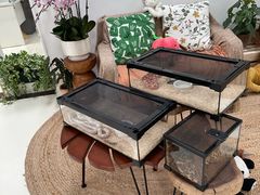 -深圳市第一幼儿园