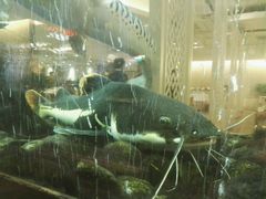 -衡山汇·高级粤菜(霄云路店)