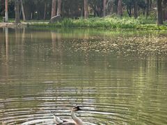 -洛阳市隋唐城遗址植物园