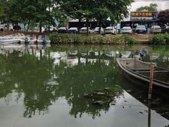 -晓琦农家菜馆·地道农家菜