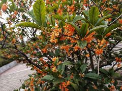 -安徽大学(磬苑校区)