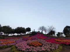-东莞植物园