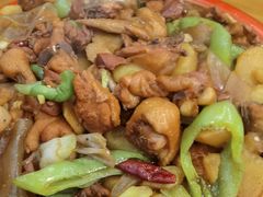 -舜玉老孙家鲜炒大盘鸡(土屋路店)