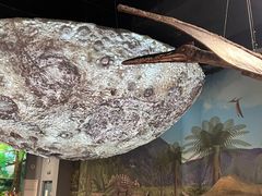 -辽宁古生物博物馆