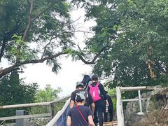 -阳台山自然风景区