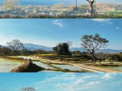 -海南霸王岭国家森林公园