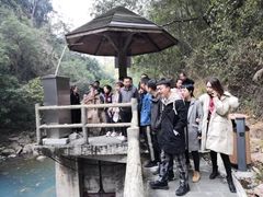 -九龙江国家森林公园