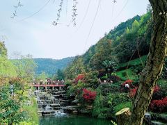 -桃花岭景区