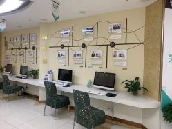 -新生植发·植养护一体