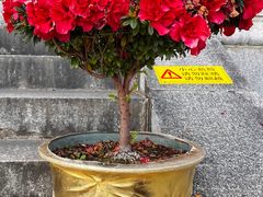 -静雅推拿(科院店)