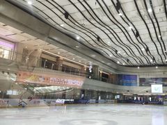 -冰堡国际溜冰场(观澜湖新城MHMALL店)