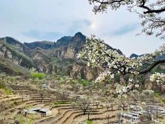 -蟠龙山长城景区