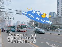 -桃花堤公园