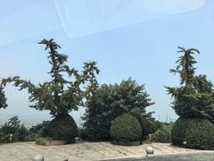 -美味之家·湖景农家乐(太湖东山店)