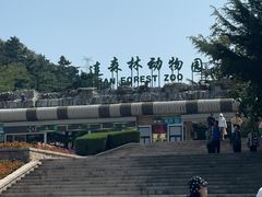 -大连森林动物园