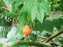 -南通洲际绿博园