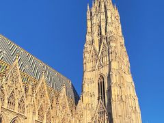 -斯蒂芬主教座堂(Stephansdom)