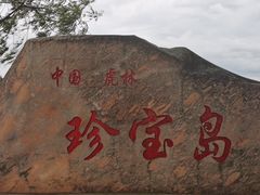 -珍宝岛