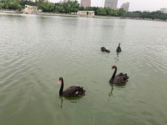 -长春世界雕塑园冰雪艺术天地