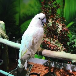 -未来动物城主题公园(正弘城店)
