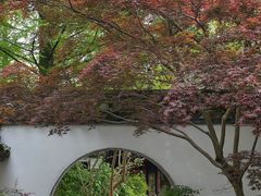 -上海醉白池公园